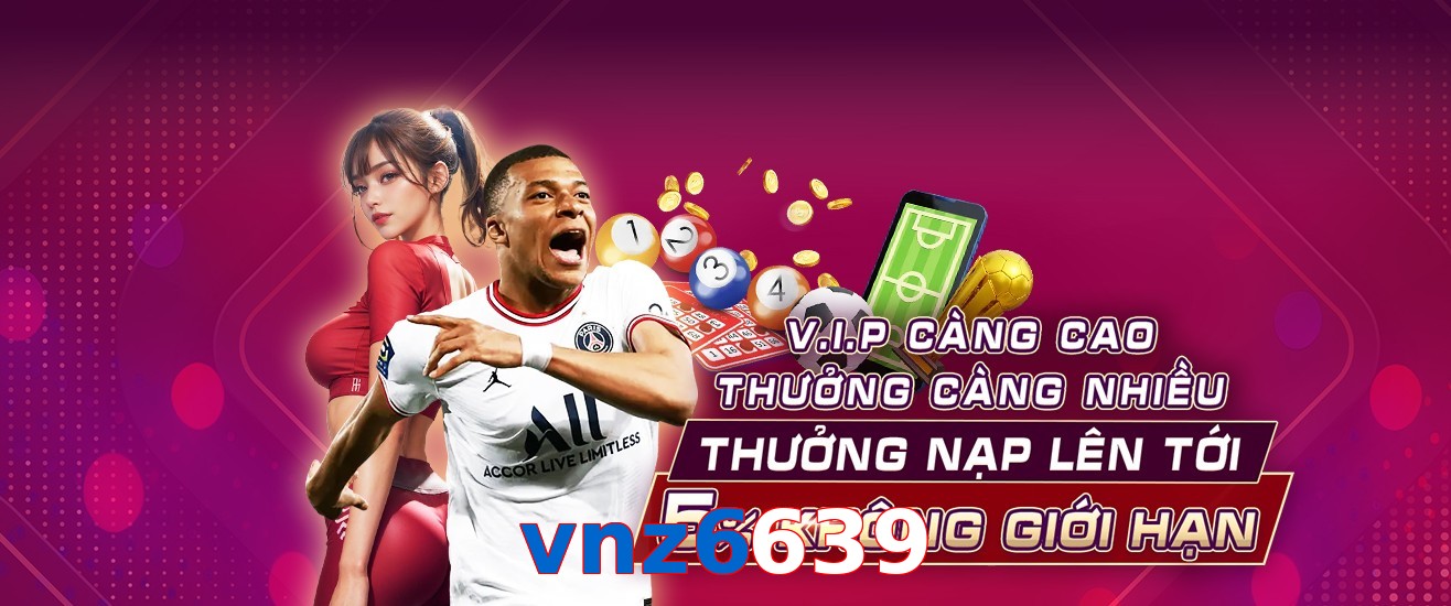 vnz6639