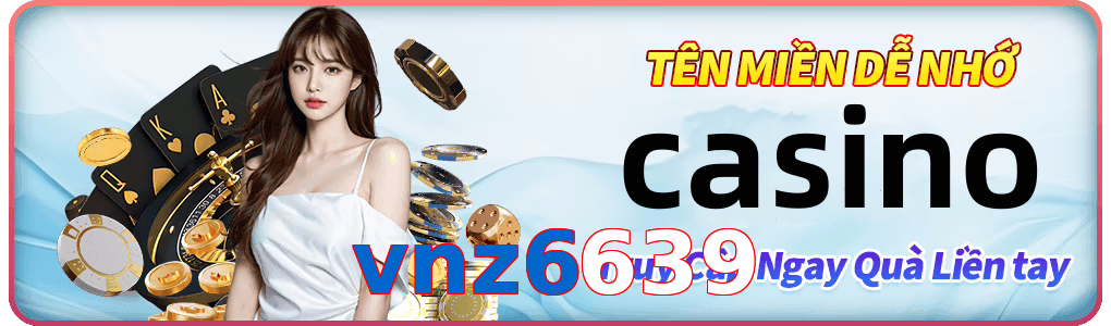 vnz6639